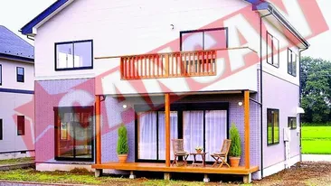 Casele din lemn, pro si contra