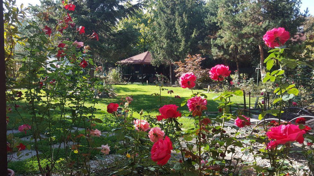 Anca Țurcașiu a părăsit vila pe care o avea în ”Paradisul Verde”