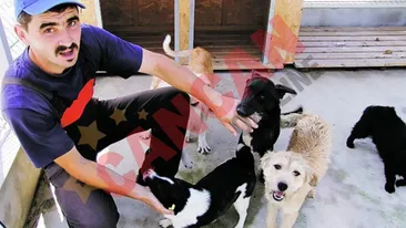 Obligati sa aiba grija de maidanezi