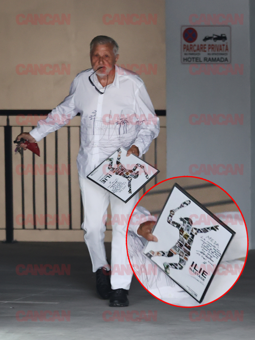 Ilie Năstase și-a luat tabloul și a plecat