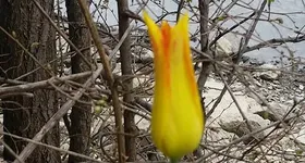 Galerie foto - poza 1