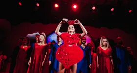 Galerie foto - poza 4