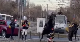 Galerie foto - poza 1