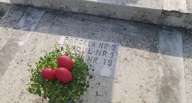 Galerie foto - poza 1