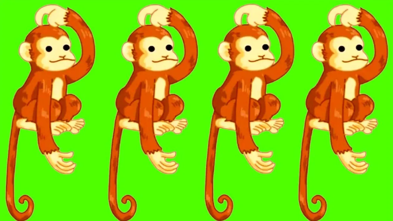 Test de inteligență | Una dintre aceste 4 maimuțe este diferită de celelalte. Care?
