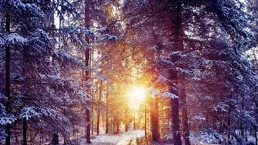 Cum va fi vremea sâmbătă, 28 ianuarie