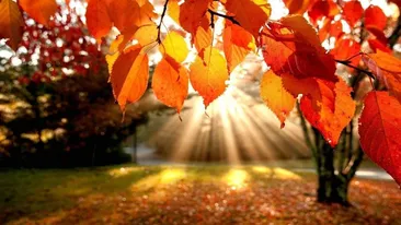 METEO 3 OCTOMBRIE: Cer senin în cea mai mare parte a ţării