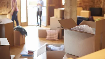 Panică totală pentru o familie din Mehedinți! S-au trezit cu un șarpe în dormitor