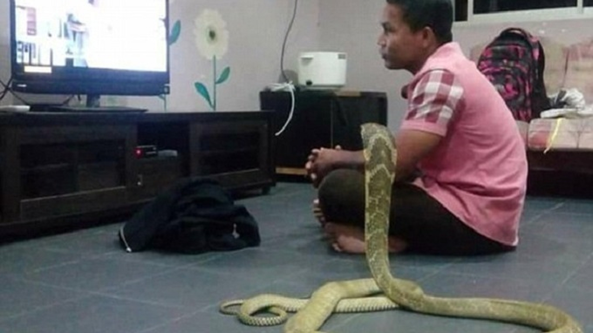 Un bărbat s-a însurat cu cobra lui de 3 metri! Motivul e ULUITOR şi te va EMOŢIONA până la LACRIMI