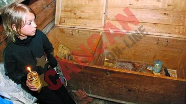 Lada asta blestemata mi-a ucis fratiorii