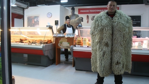 Ciobanul Ghita a plecat de urgenta din Bucuresti! Vezi ce s-a intamplat la stana simpaticului oier!