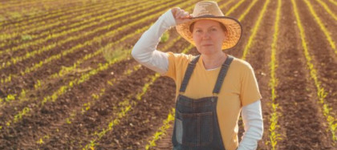 BANCUL ZILEI. – Vezi că Maria ta e cu Gheorghe în porumb!