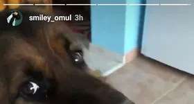 Galerie foto - poza 3