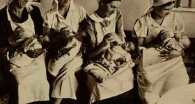 Galerie foto - poza 1