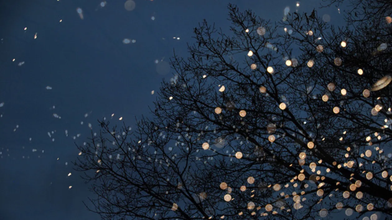 Brrr! Ninsorile şi ploile revin în zilele ce urmează! Vezi cum va fi vremea în regiunea ta!