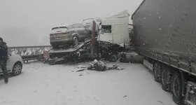 Galerie foto - poza 2