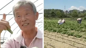 Coreeanul care a ales România în locul țării natale. Ce cultivă în zecile de solarii din Prahova