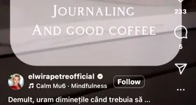 Galerie foto - poza 4