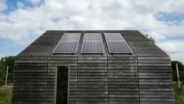 Descoperire incredibilă în energie. Lemnul care generează curent și noaptea ar putea rescrie viitorul