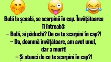 BANC | Învățătoarea, Bulă și păduchii