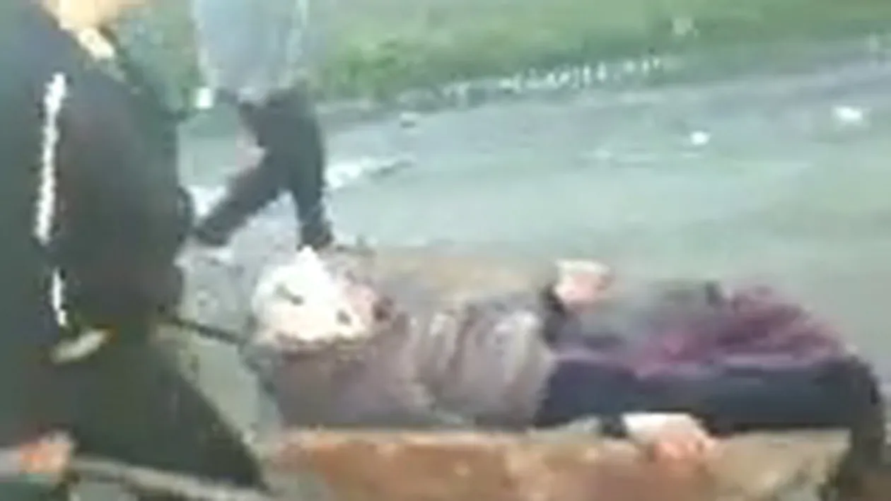 Video de la tara! Ea e betiva satului! Batrana asta este carata cu roaba acasa dupa ce s-a facut praf si doarme in sant!