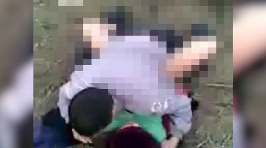 Vulpița, filmată în timp ce îl „traduce” pe Viorel