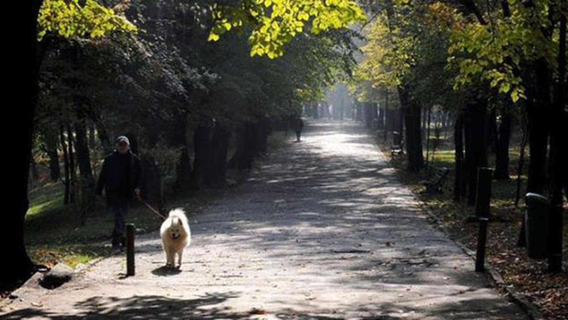 METEO 13 NOIEMBRIE! Cum va fi vremea in Bucuresti si in alte zone din tara!