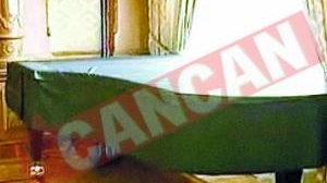 Pian cu coada pentru linistea parlamentarilor