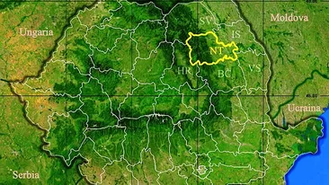 Rezultate Evaluarea Națională 2019 (Capacitate) Neamț