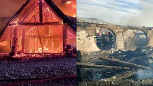 Noi nereguli descoperite la Ferma Dacilor! Cum arătau facturile la curentul electric pe numele lui Cornel Dinicu