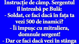 BANC | Instrucție de câmp. Sergentul îl întreabă pe Bulă: "Soldat, ce faci dacă în fața ta vezi 500 de inamici?"