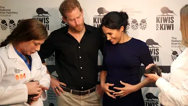 Prințul Harry se pregătește să devină tată! Meghan Markle, însărcinată din nou?!