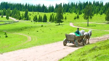 Tot mai buna-i caruţa!