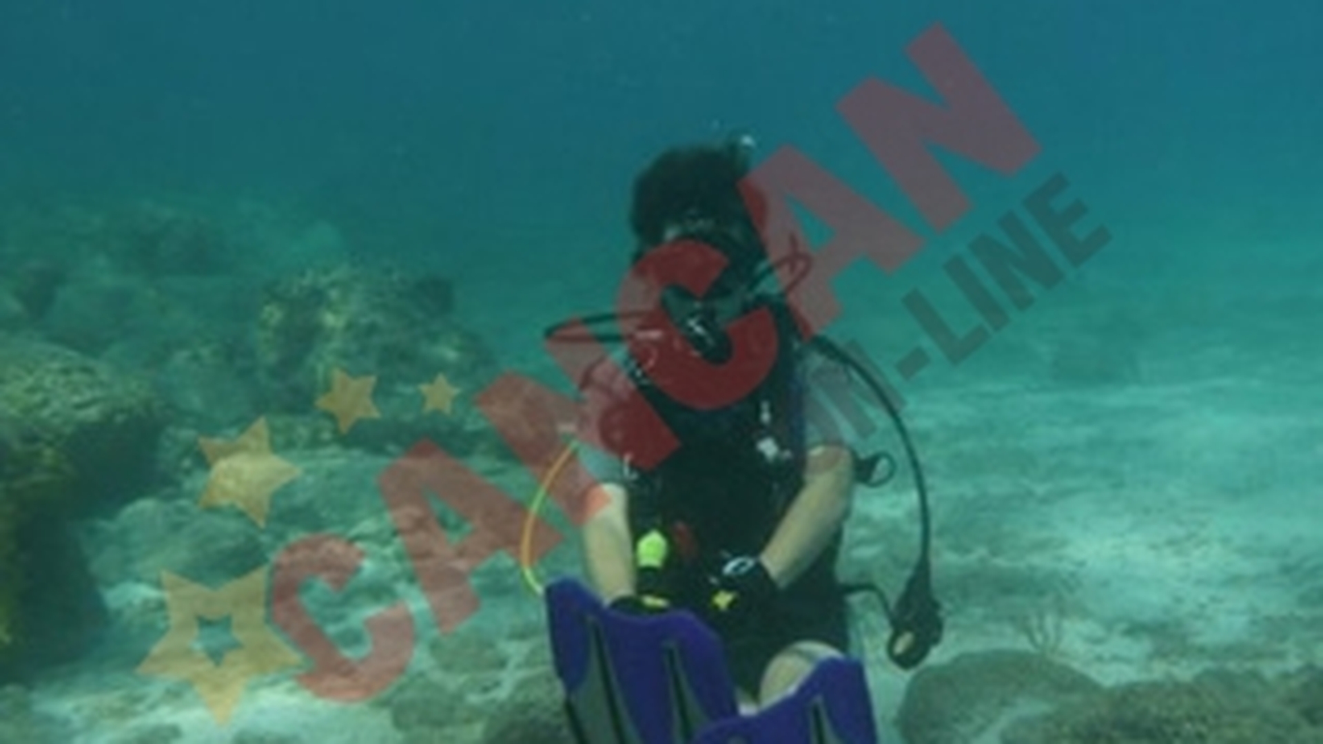 Baiatul Monicai Tatoiu este pasionat de scufundari