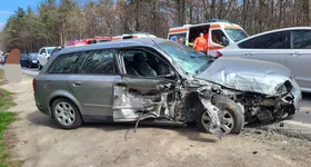 Galerie foto - poza 2