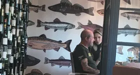 Galerie foto - poza 3