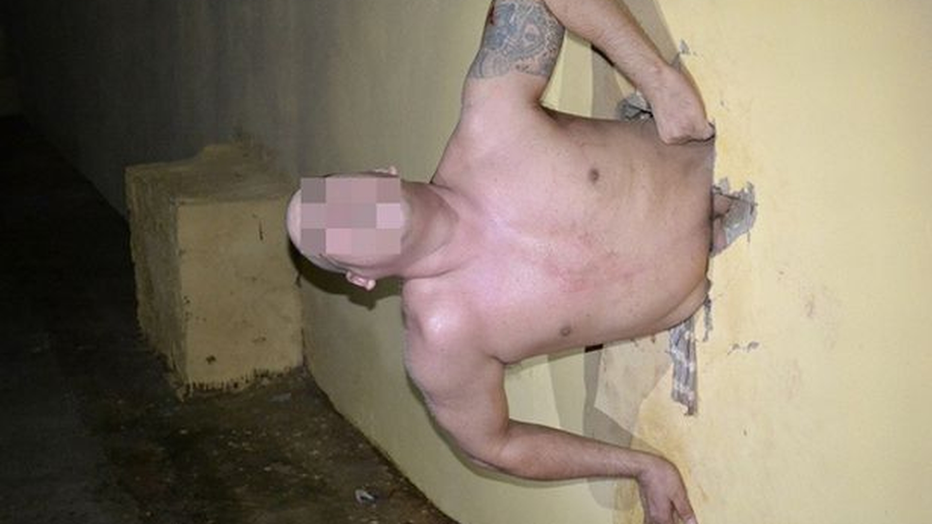 Cel mai ghinionist puscarias din toate timpurile! A ramas blocat in gaura prin care vroia sa evadeze
