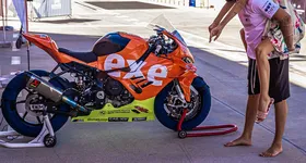 Galerie foto - poza 3