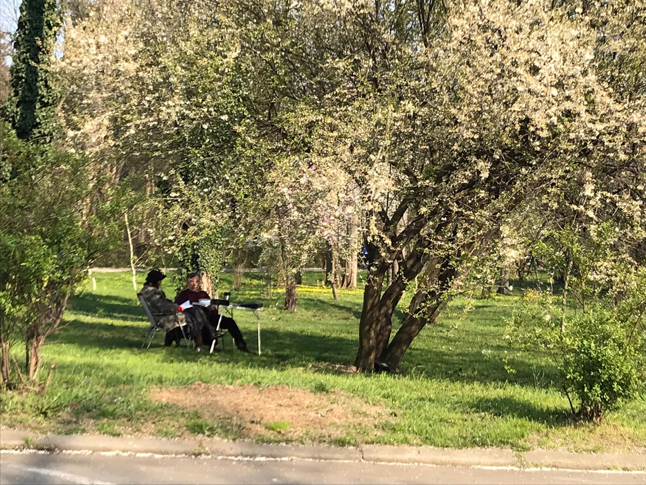 Imagini halucinante. Bucureștenii au ieșit la picnic în Herăstrău: Și-au scos măsuțele la „iarbă verde”!