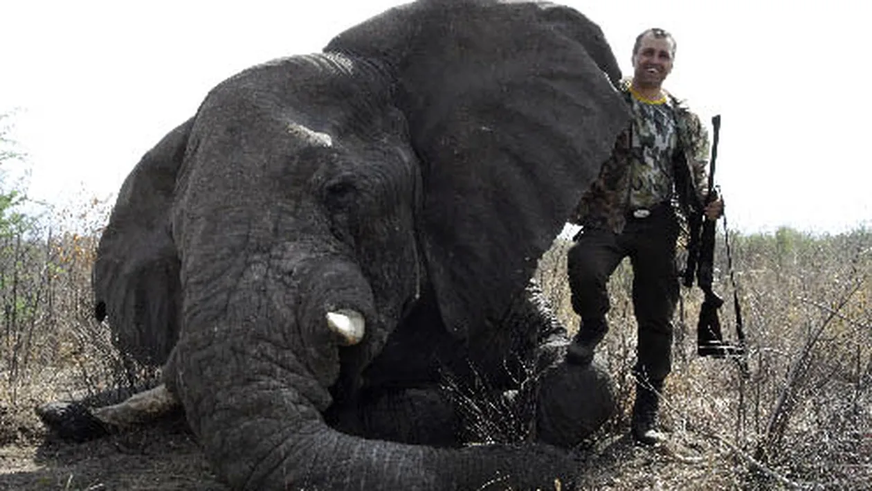 Astea da pasiuni de milionar! Gheorghe Iaciu vaneaza ursi la Polul Nord si elefanti in Africa!