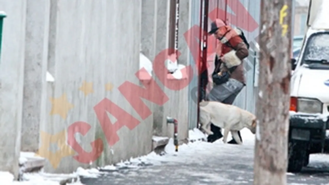 Labradorul i-a stricat buna dispozitie Loredanei