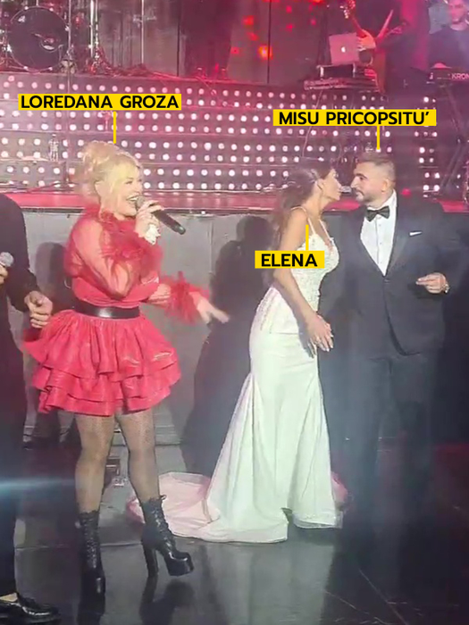 Loredana Groza a dat recital la nunta lui Mișu Pricopsitu`  (FOTO: Instagram)