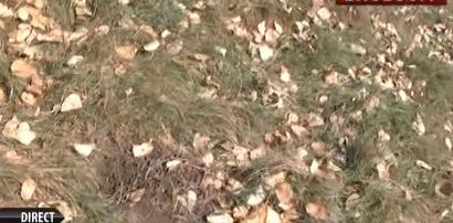 Foto: captură RTV