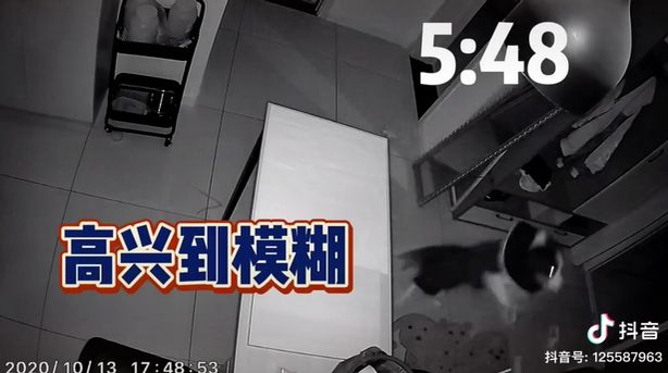 Îți dau lacrimile! Cum își aștepta un cățel stăpâna să vină acasă, după 10 ore. VIDEO