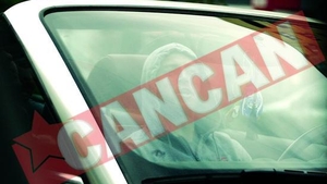 Unde au petrecut Ropotan si Pulhac dupa meciul de la Timisoara