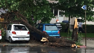Ploaia a făcut ravagii în Capitală: 21 de copaci căzuți, 13 mașini avariate și șase gospodării inundate