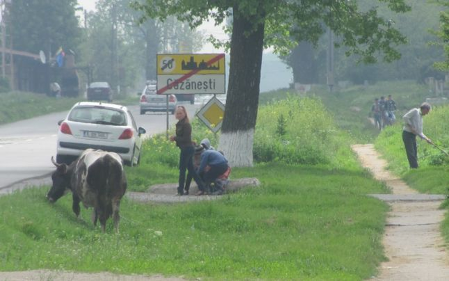 Bătrânul din Căzăneşti a fost condamnat după patru ani de cercetări pentru viol