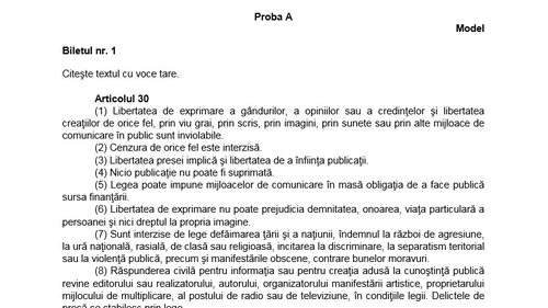 Bacalaureat 2019. Cum se rezolvă subiectele la limba română oral