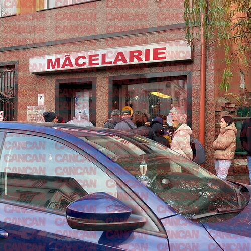 Imagine Galerie #1