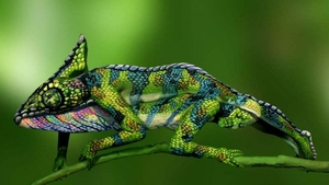 Iluzie optică de weekend! Doar cei mai inteligenţi oameni pot observa două femei atunci când se uită la această iguană